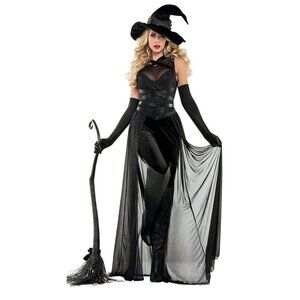 NEW Raven Witch Costume Womens SZ Large Halloween Party Cosplay MSRP $96